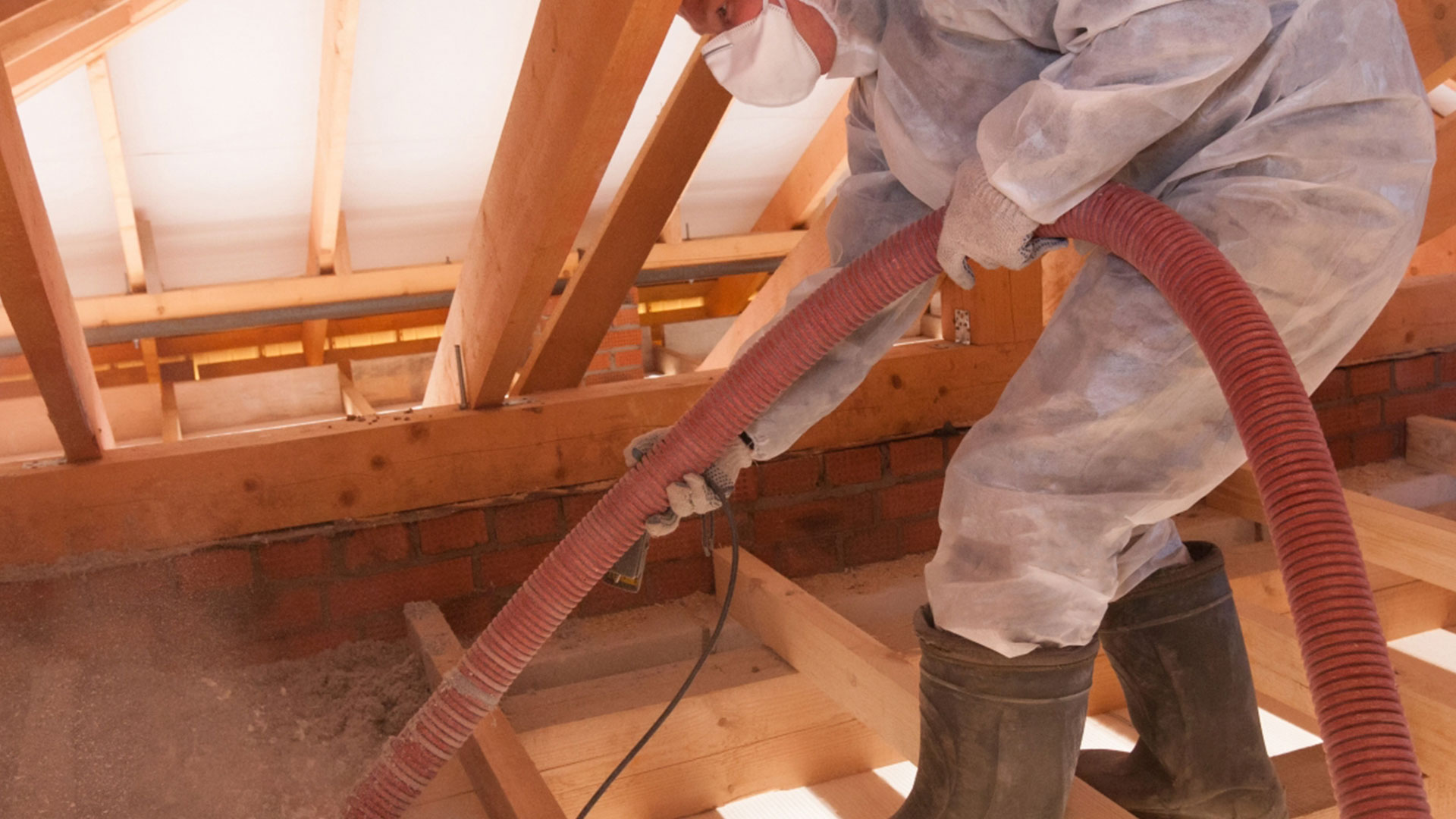 insulation removal and attic cleanup